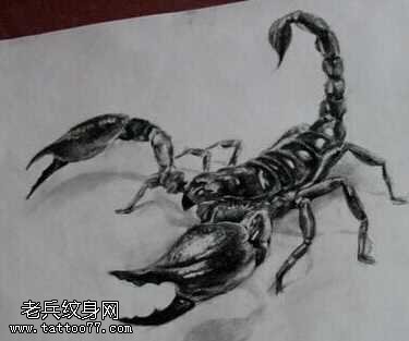 手稿逼真蝎子纹身图案