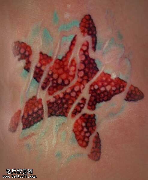 海星纹身图案