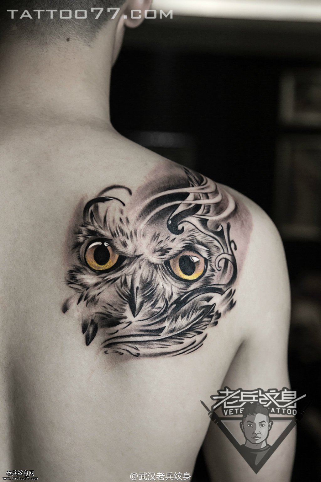 肩膀猫头鹰纹身图案作品