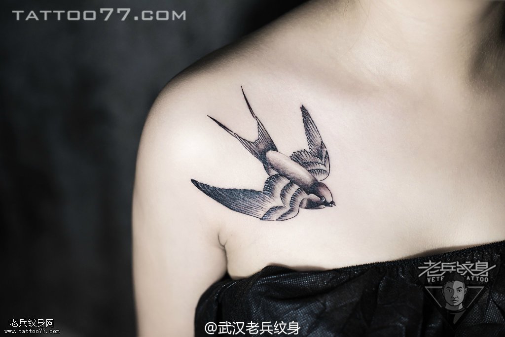 胸部燕子纹身图案作品