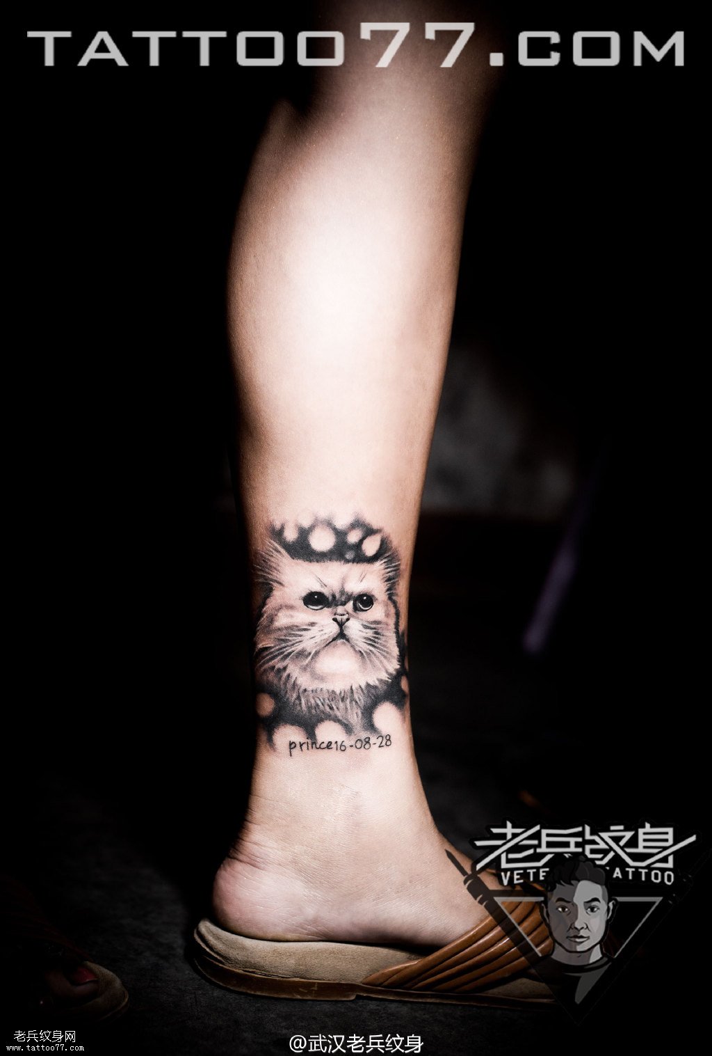 脚踝猫咪纹身图案作品