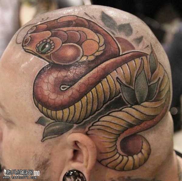 头部彩蛇纹身图案