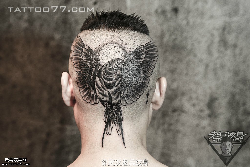超酷的头部燕子纹身图案作品