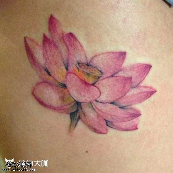 腰部莲花纹身图案