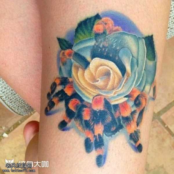 腿部蜘蛛玫瑰纹身图案