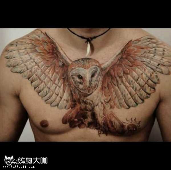 胸部猫头鹰纹身图案