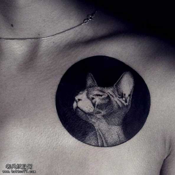 胸部猫咪纹身图案