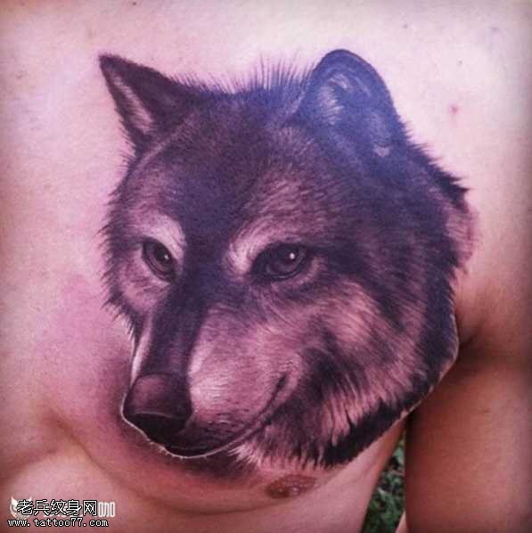 胸部狼纹身图案