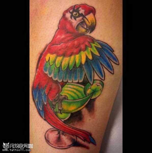 腿部个性鹦鹉纹身图案