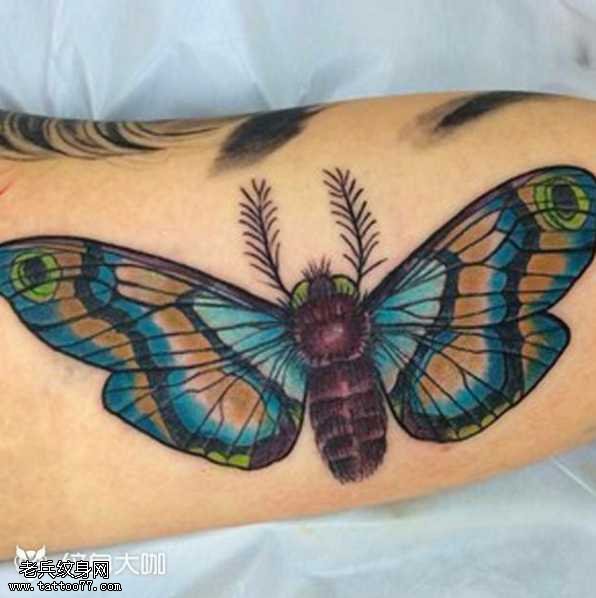 腿部飞蛾纹身图案