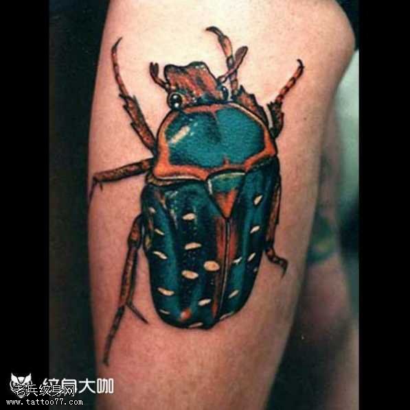 腿部个性昆虫纹身图案