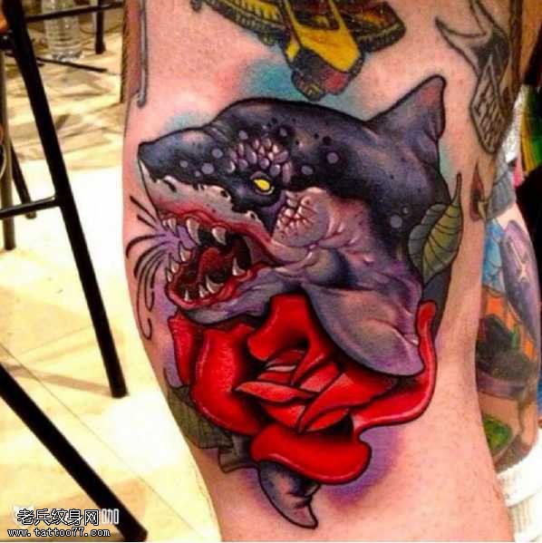 玫瑰花开鲨鱼纹身图案