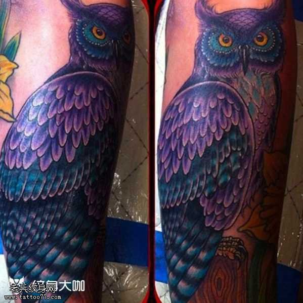 腿部紫猫头鹰纹身图案