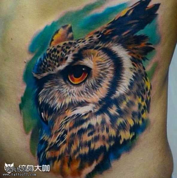 腰部猫头鹰纹身图案