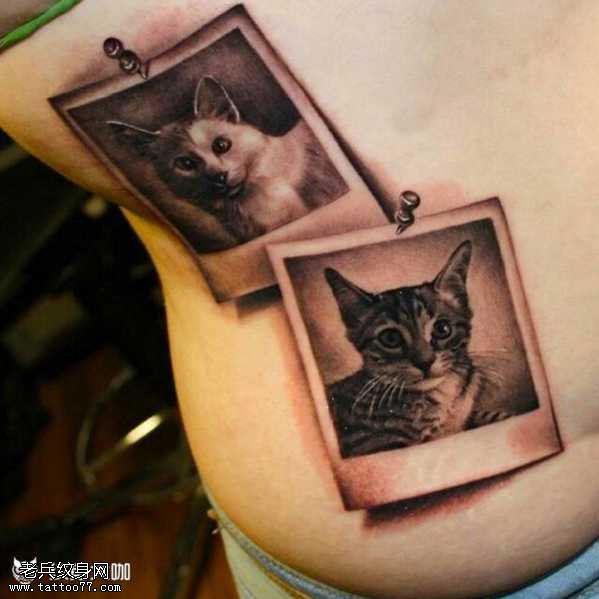 腰部猫咪纹身图案