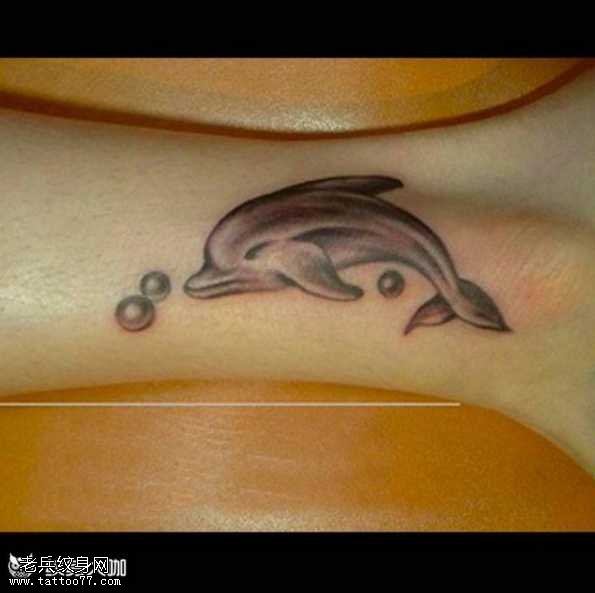 海豚纹身图案