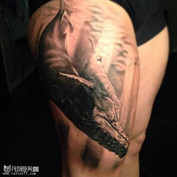 腿部海豚纹身图案