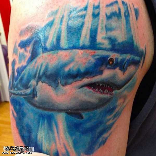 腿部鲨鱼纹身图案