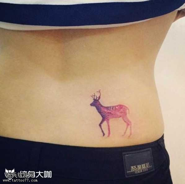腰部彩鹿纹身图案