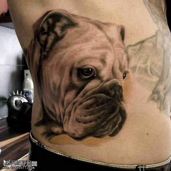 腰部斗牛犬纹身图案