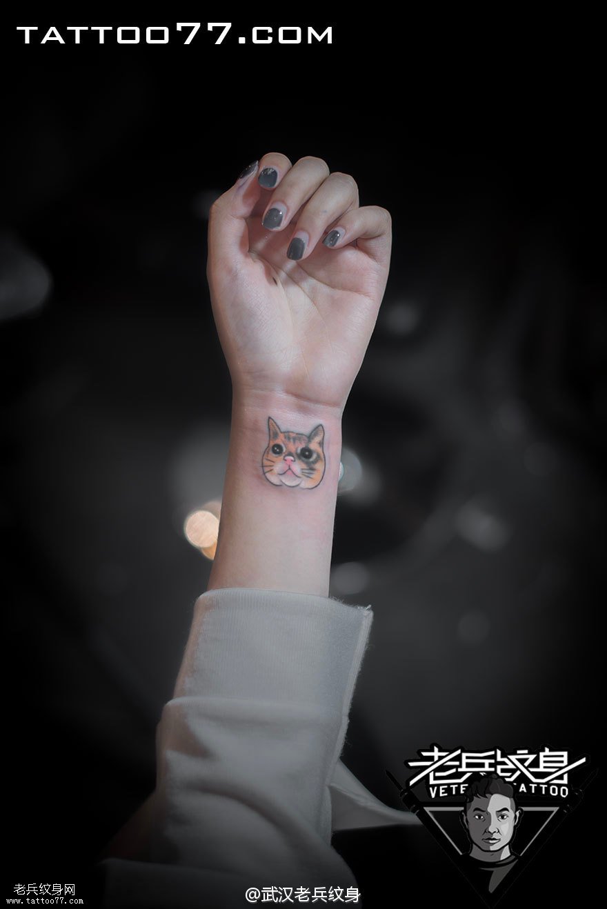 手腕可爱猫咪纹身图案作品
