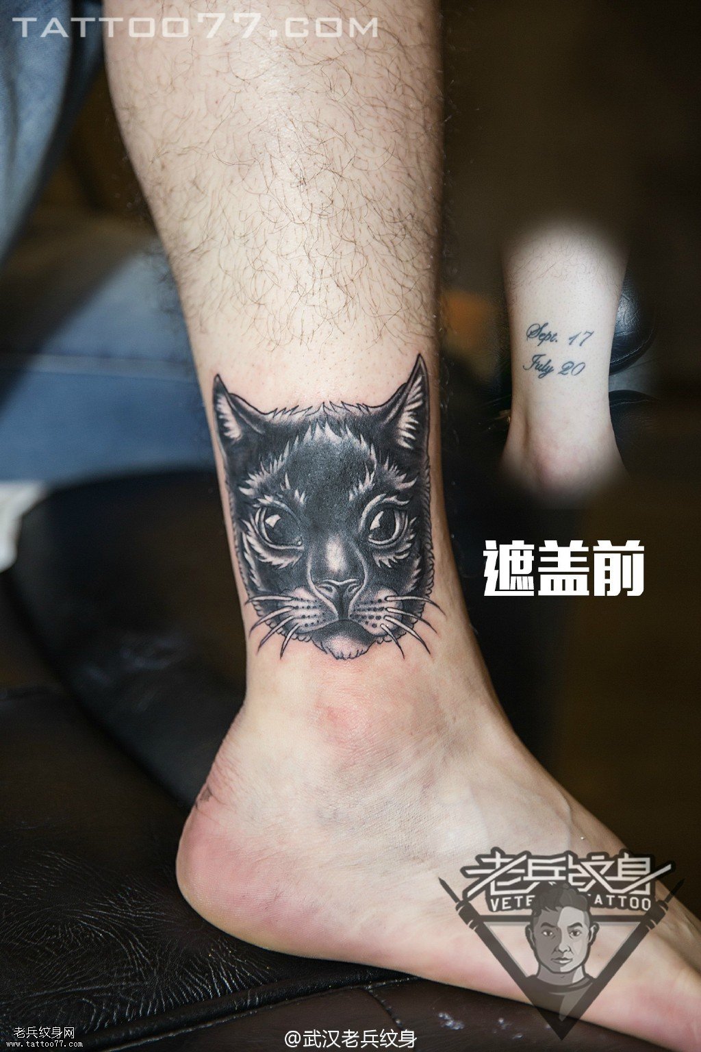 脚踝猫咪纹身图案作品遮盖旧纹身