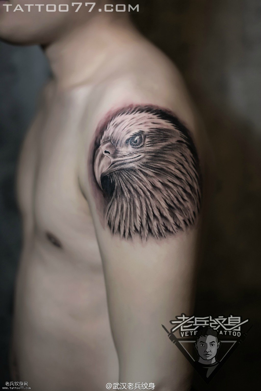 大臂鹰头纹身图案作品