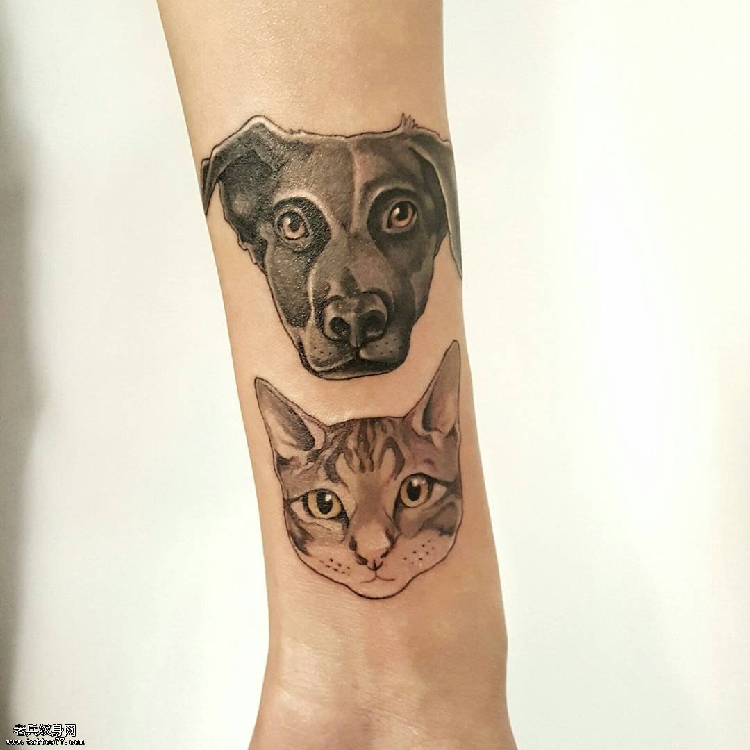 猫 狗纹身图案
