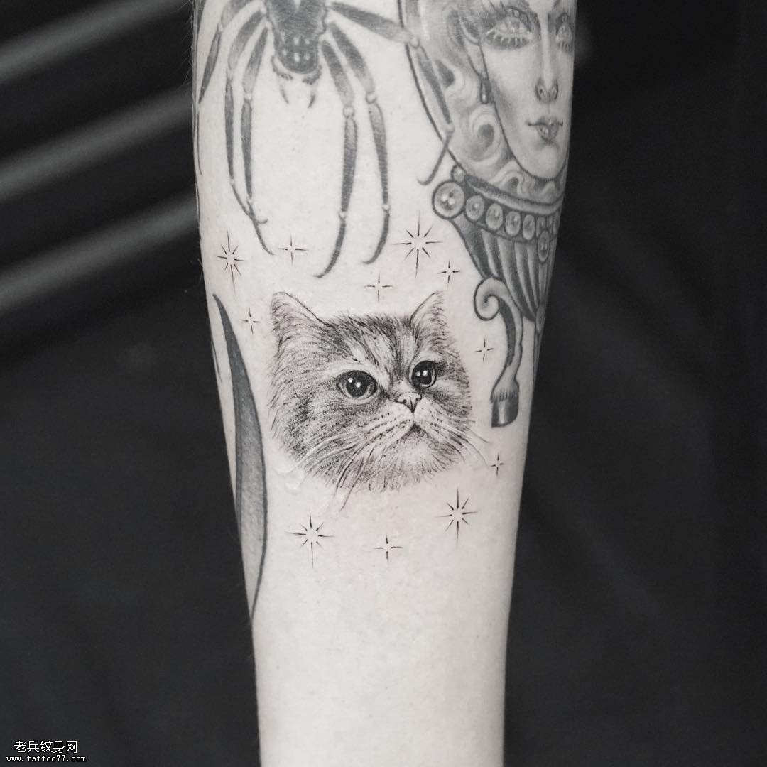 小臂猫纹身图案