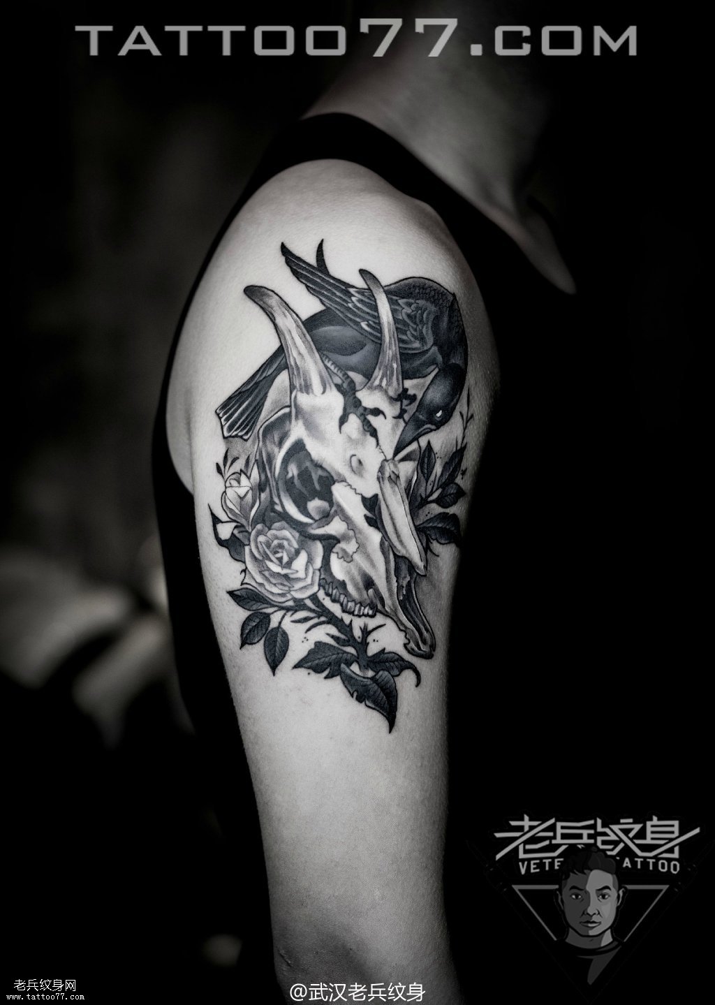 大臂欧美羊骷髅乌鸦纹身图案作品