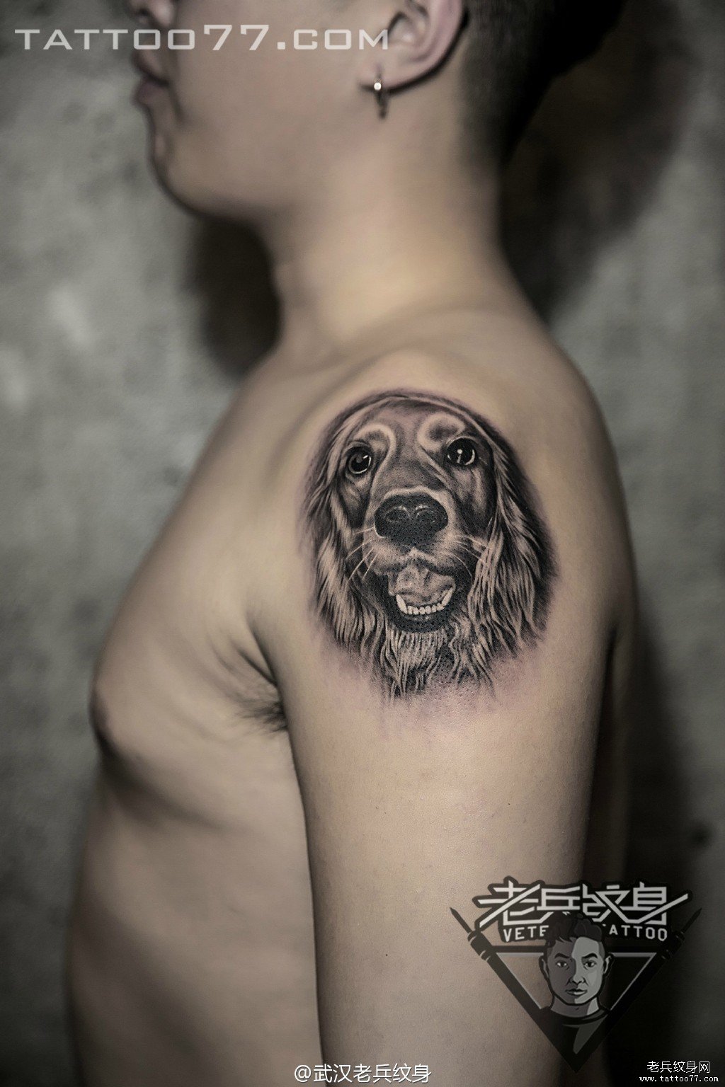 手臂狗狗肖像纹身图案作品