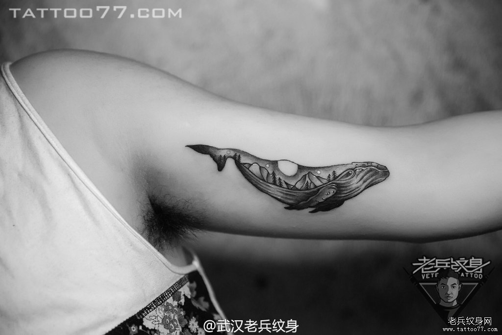 手臂内侧鲸鱼纹身图案作品