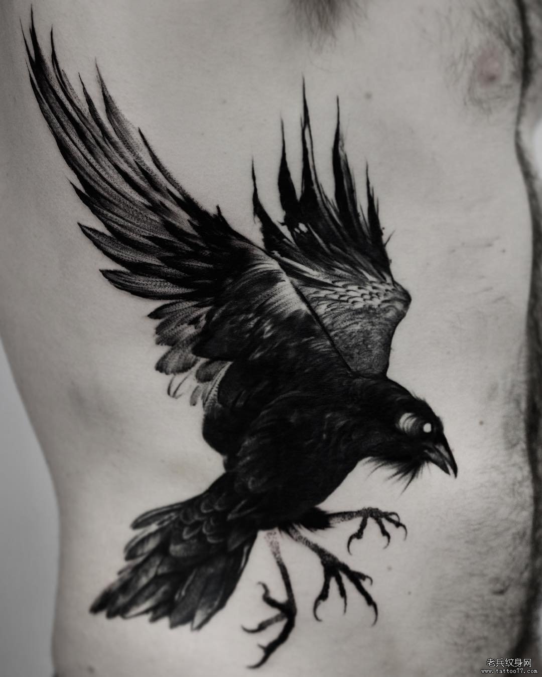 侧腰欧美乌鸦tattoo图案