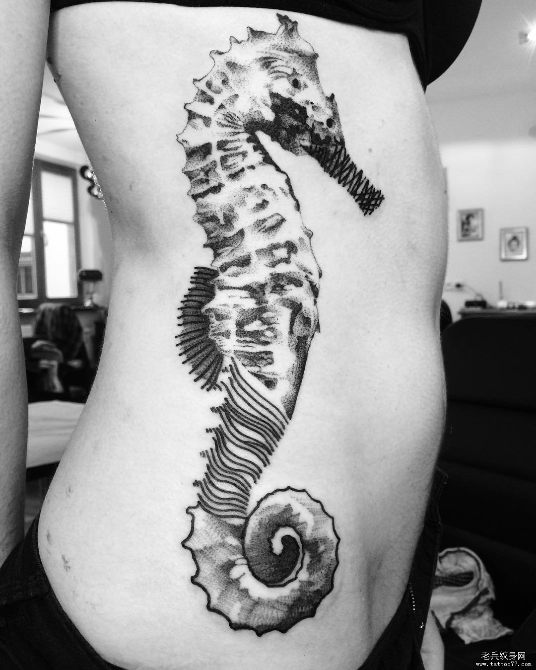 侧腰欧美点刺海马纹身tattoo图案