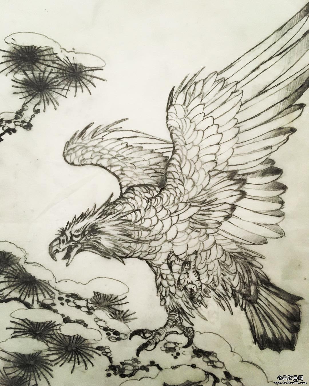 中式传统老鹰祥云纹身图案手稿