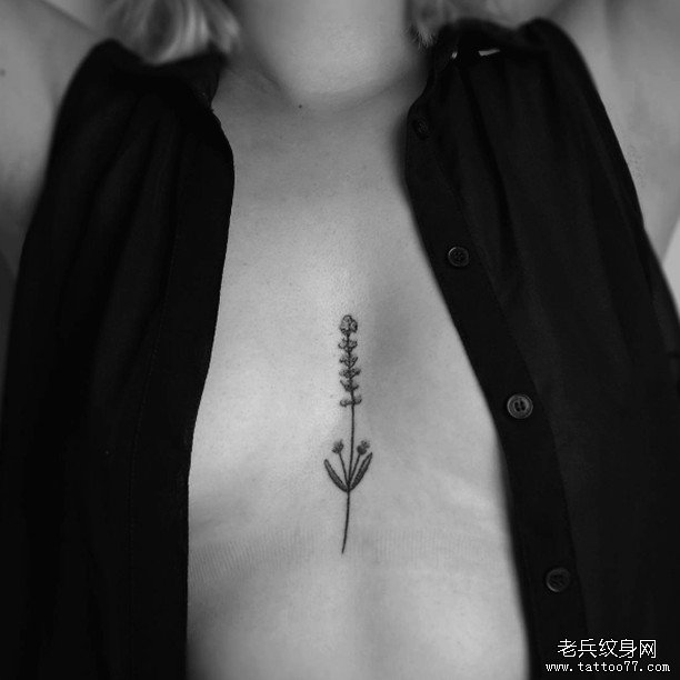 胸口薰衣草纹身tattoo图案