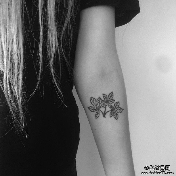 小臂树叶tattoo纹身图案