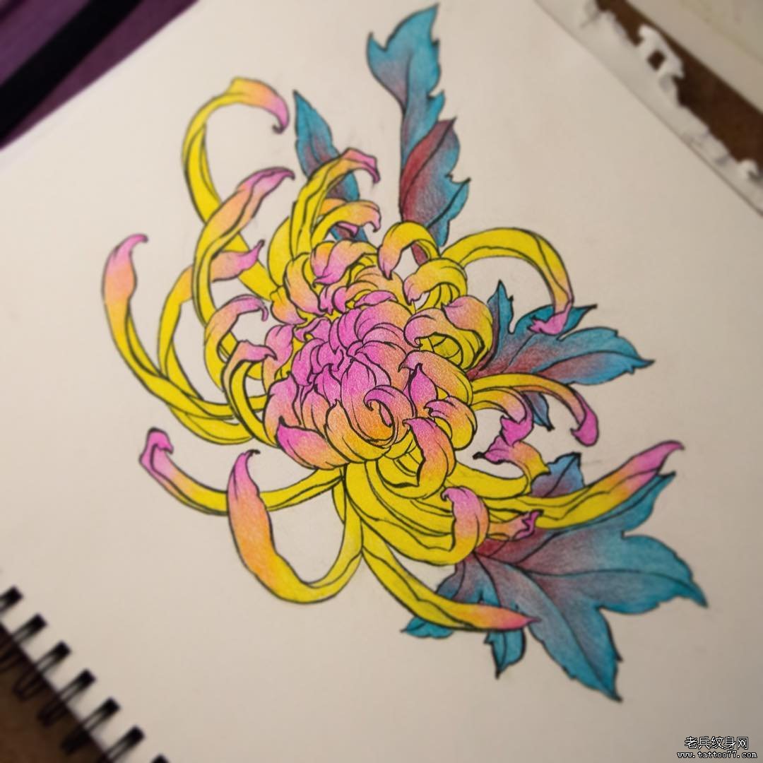 传统菊花纹身图案手稿