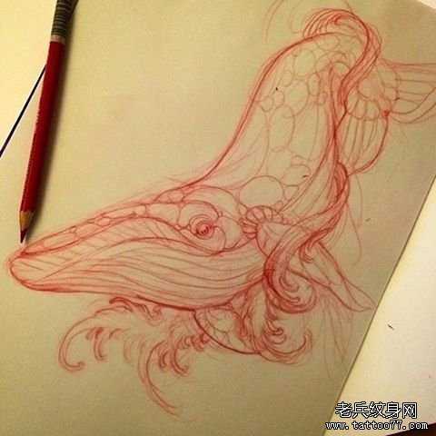鲸鱼纹身图案tattoo手稿