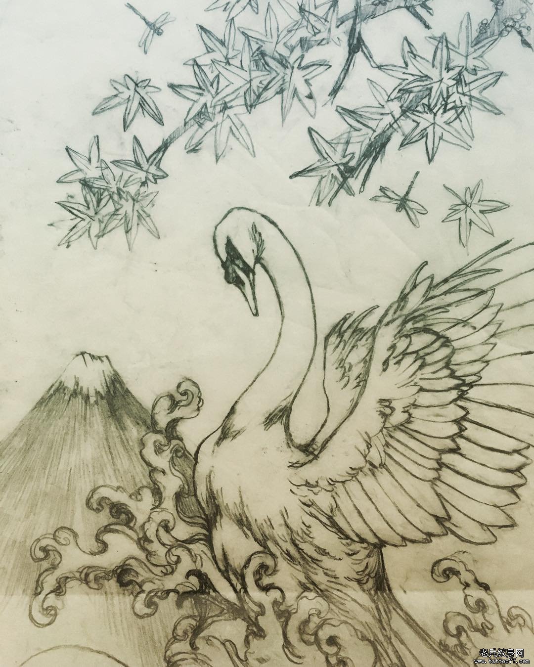 传统天鹅纹身图案手稿
