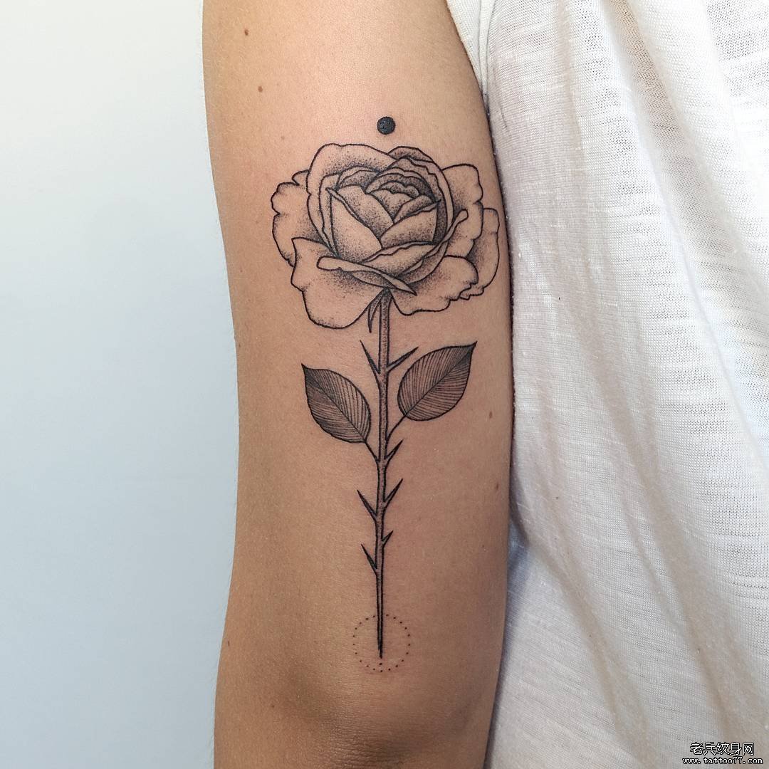 大臂小清新玫瑰纹身tattoo图案