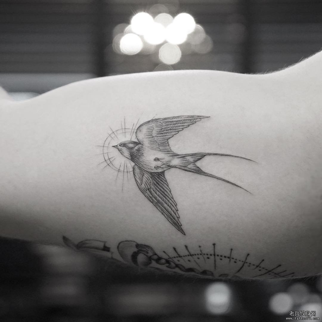 大臂燕子纹身tattoo图案