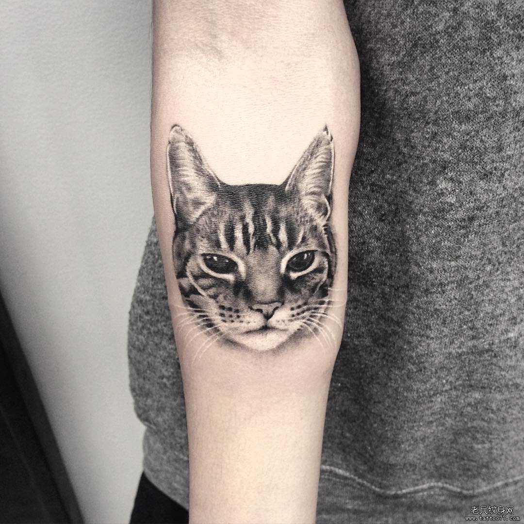 小臂猫tattoo纹身图案