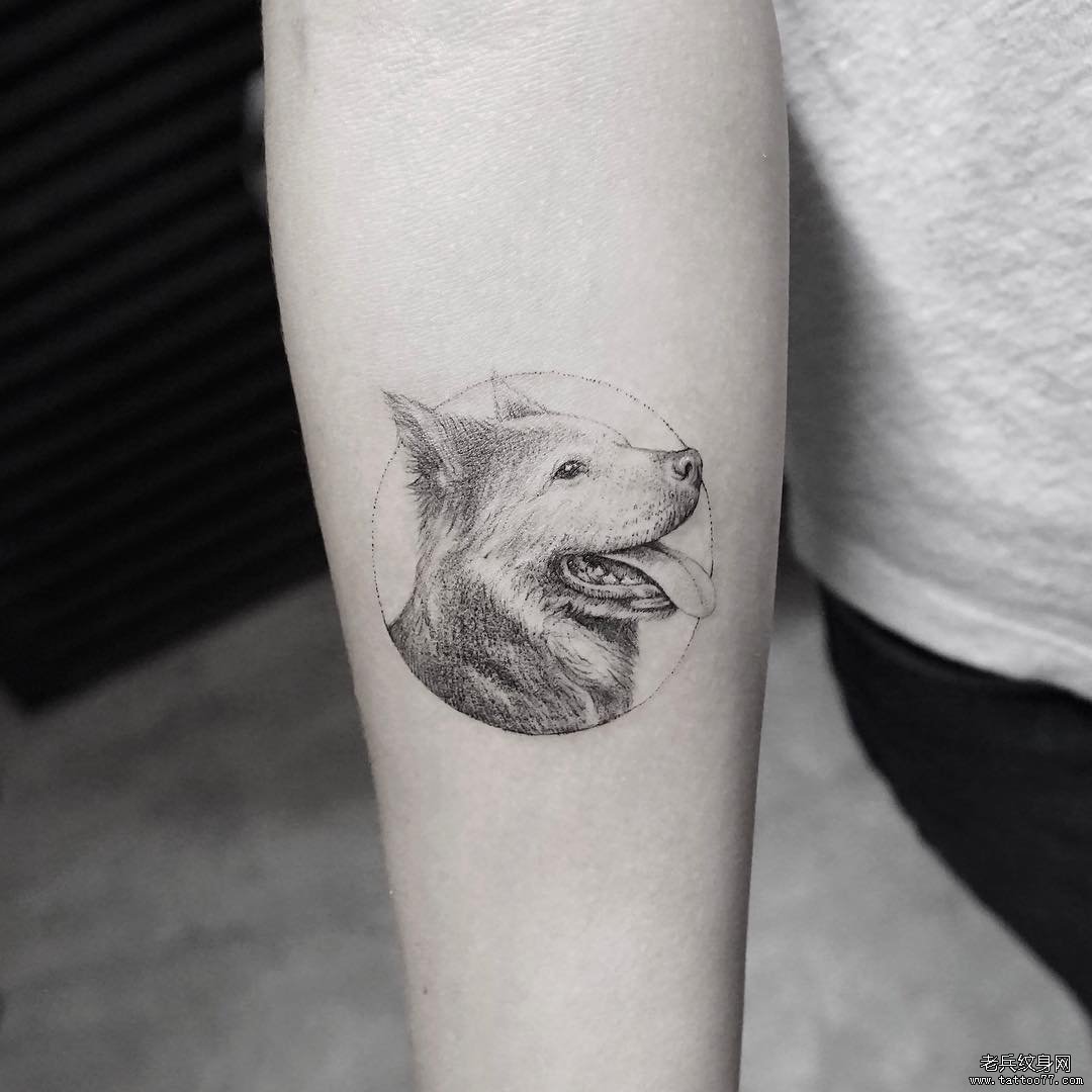 小臂狗tattoo纹身图案