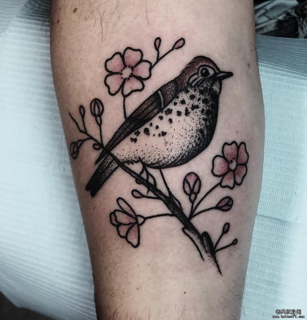 小清新鸟纹身tattoo图案