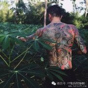 一身花绣，心有猛虎