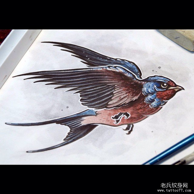 欧美燕子纹身图案手稿