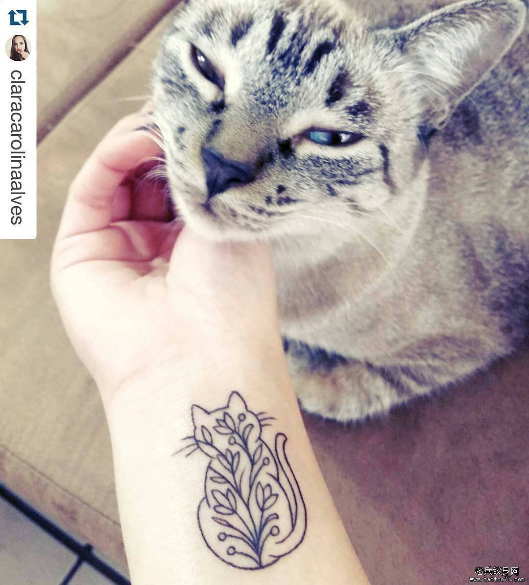手腕线条猫花草纹身小清新图案