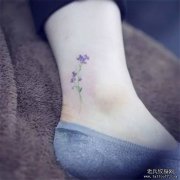 小清新，一花一草