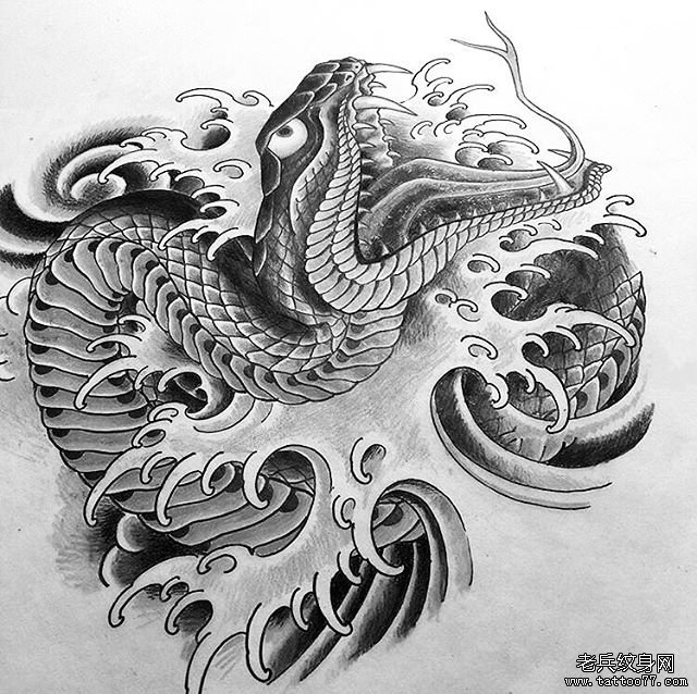传统浪花蛇纹身图案手稿